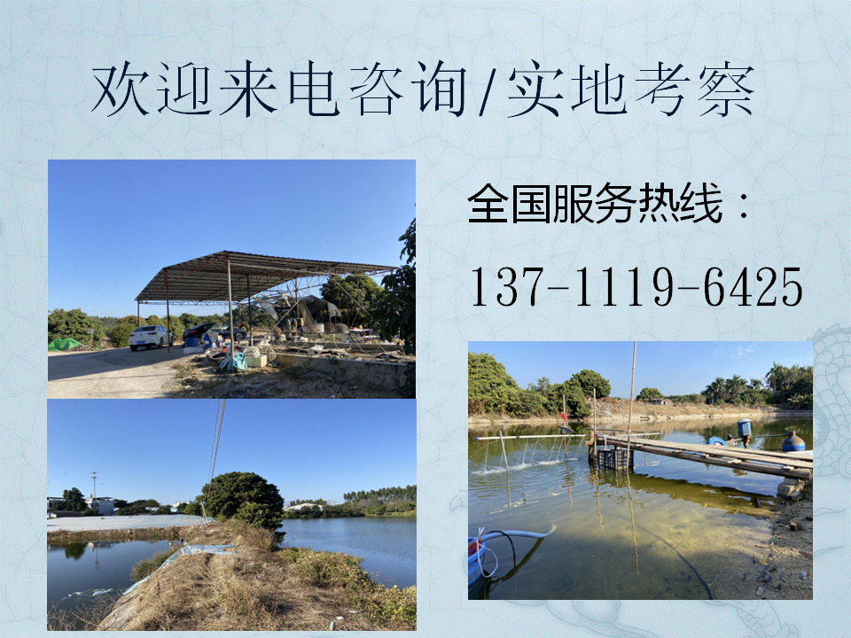 1歡迎來電咨詢1_副本