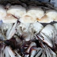 廠(chǎng)家批發(fā)梭子蟹 凍梭子蟹 舟山梭子蟹 自助餐海鮮切蟹