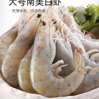 舟山廠家供應(yīng)南美白蝦 凍蝦大蝦冷凍海鮮大白蝦