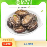 鮮凍凍活凍冷凍鮮凍帶去肚去齒鮑魚(yú)活凍鮑魚(yú)10頭/8頭鮑魚(yú)海鮮酒店