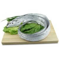 批發(fā)供應冰鮮冷凍整條帶魚 海南水產(chǎn)品海鮮魚類 20斤/件