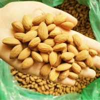 新貨原味巴旦木仁扁桃仁美國(guó)大杏仁500g散裝批發(fā)每日?qǐng)?jiān)果干果炒貨