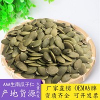 南瓜子仁 散裝生原味現(xiàn)貨烘培酥糖原料生瓜子無(wú)殼南瓜子仁500g