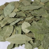 批發(fā)50KG香葉調(diào)味品月桂葉材火鍋底料鹵水冒菜腌制料產(chǎn)地貨源