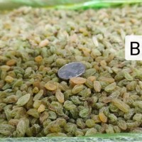 新疆綠葡萄干散裝綠香妃青提休閑零食奶茶用吐魯番直供美味葡萄干