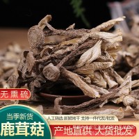 云南特產(chǎn)鹿茸菇干貨廠家批發(fā)鹿茸菌干貨酒店火鍋店食材 產(chǎn)地貨源
