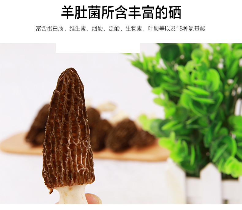 新鮮羊肚菌詳情頁(yè)_03