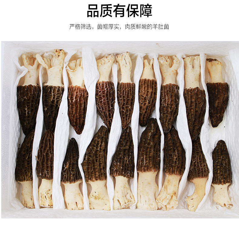 新鮮羊肚菌詳情頁(yè)_03