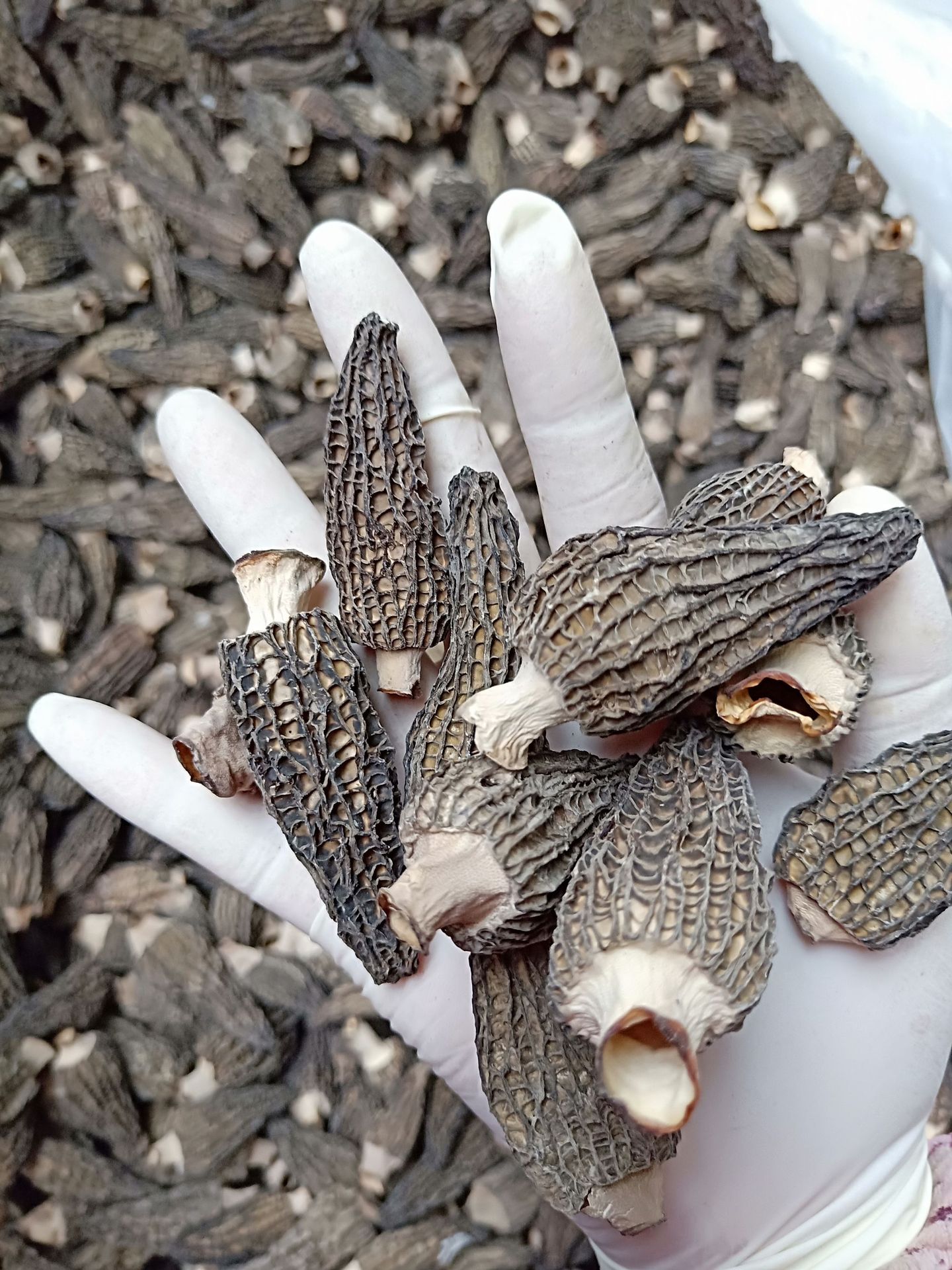 QQ圖片20190327124239