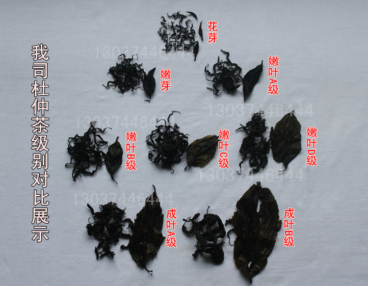 杜仲茶級(jí)別對比展示