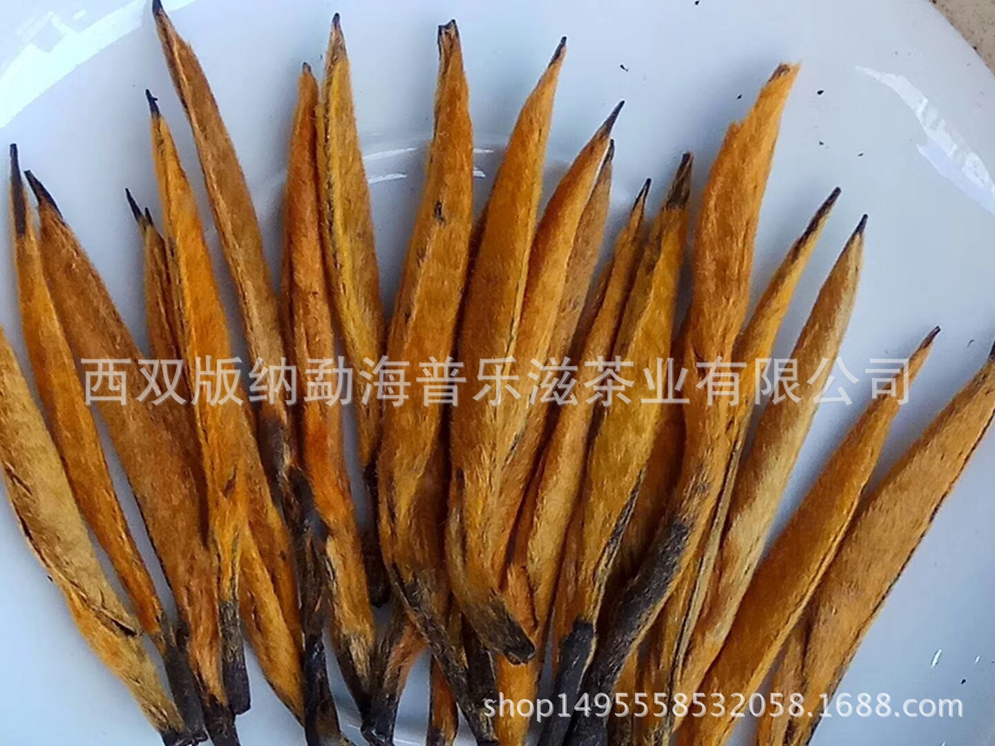 微信圖片_20180522110053