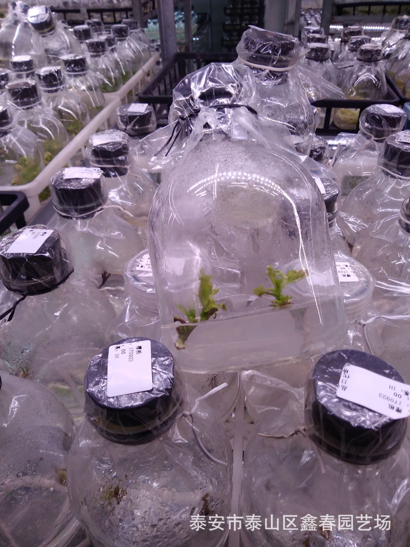 微信圖片_20171026224657