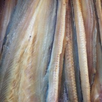 廠家批發(fā)海鮮干貨大鰻魚魚干漁家自曬當(dāng)季新貨淡曬海鰻干