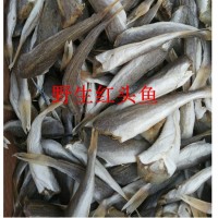 跑江湖地攤干貨批發(fā) 紅頭魚 去頭魚干 江蘇特產(chǎn)海鮮干貨