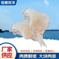 魚翅現(xiàn)貨批發(fā) 煲湯煮粥海產(chǎn)品魚翅 速凍海產(chǎn)品獨立包裝魚翅廠家