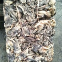 直銷冷凍魷魚(yú) 赤道魷魚(yú)頭秘魯魷魚(yú)頭300/500 500/1000赤道魷魚(yú)尾