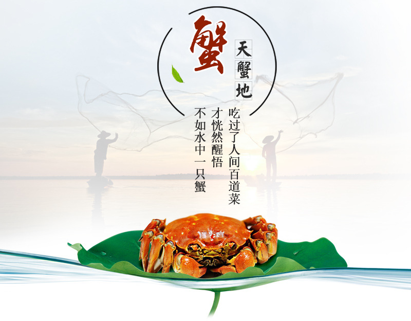 蟹之品詳情_(kāi)02.jpg
