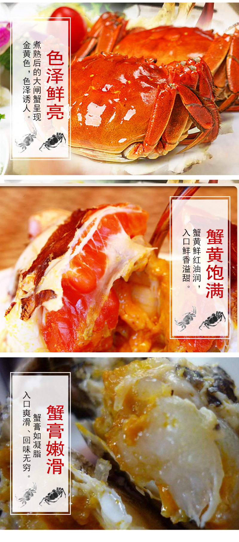 蟹之品詳情_(kāi)06.jpg