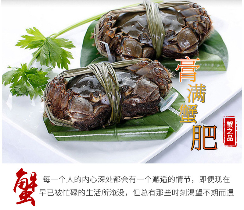 蟹之品詳情_(kāi)05.jpg