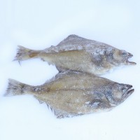 貨源供應(yīng)比目魚 肉質(zhì)鮮嫩冷凍鰈魚戶外燒烤鰈魚
