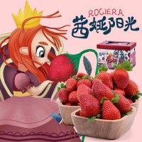 云南茜婭陽(yáng)光草莓現(xiàn)摘現(xiàn)發(fā)新鮮當(dāng)季水果大草莓新年年貨禮盒裝大果