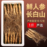 鮮人參1斤鮮野山參東北鮮參泡酒新鮮人參吉林長白山人參500克