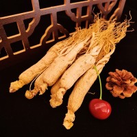 長白山生曬白參邊條參各種規(guī)格現(xiàn)貨產(chǎn)地供貨新貨干年限足產(chǎn)地供貨