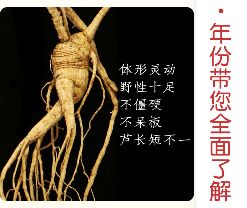 未標題-1_13.jpg