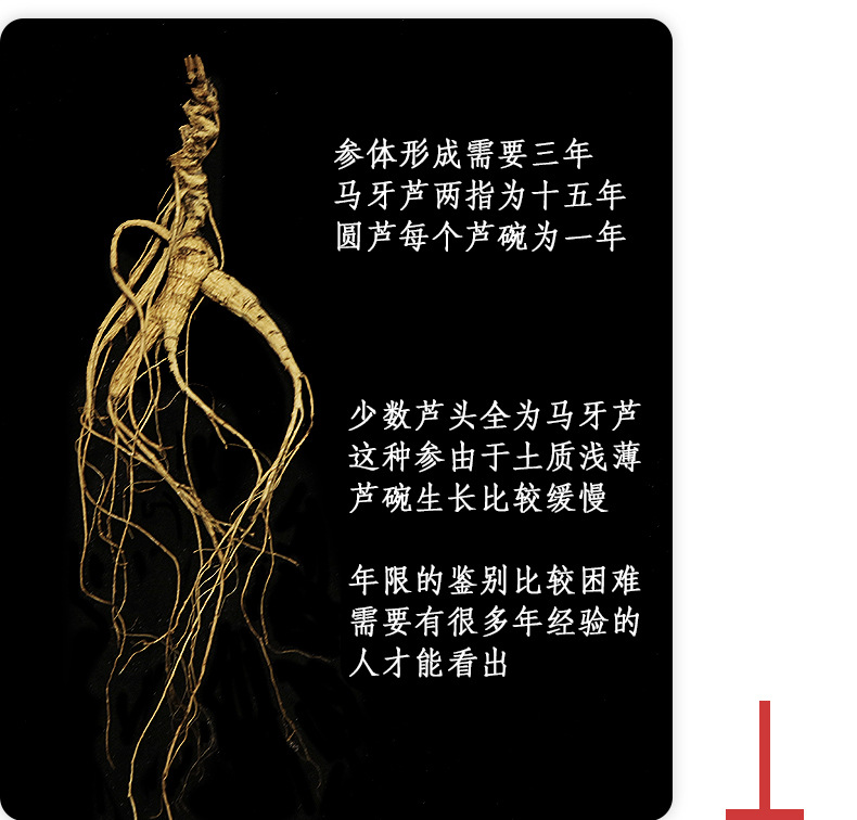 未標題-1_15.jpg