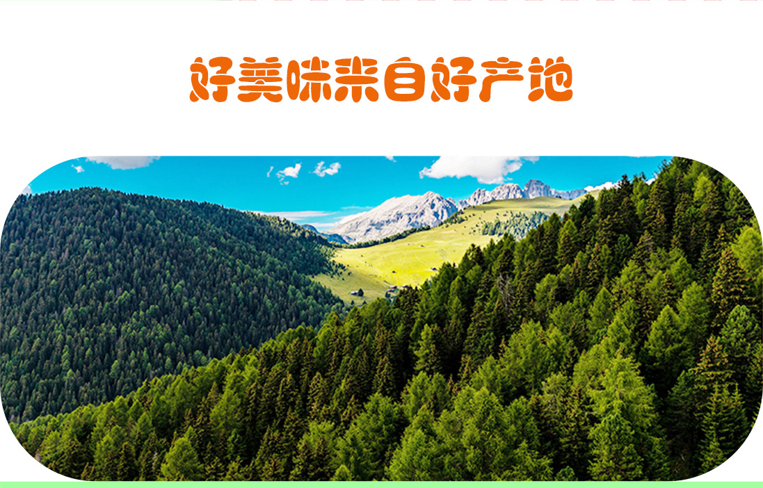 11-多彩堅果_02
