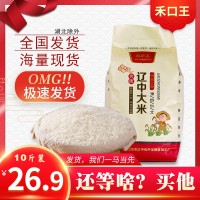 東北特產珍珠米10斤小町大米直批 新米5kg粳米福利農產品會銷禮品