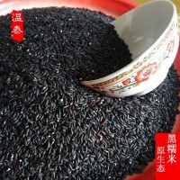 黑糯米包粽子米高山米長粒黑米農(nóng)家自產(chǎn)米血糯米雜糧特產(chǎn)