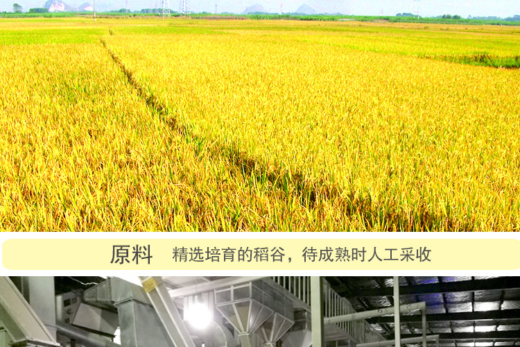 未標(biāo)題-2_003