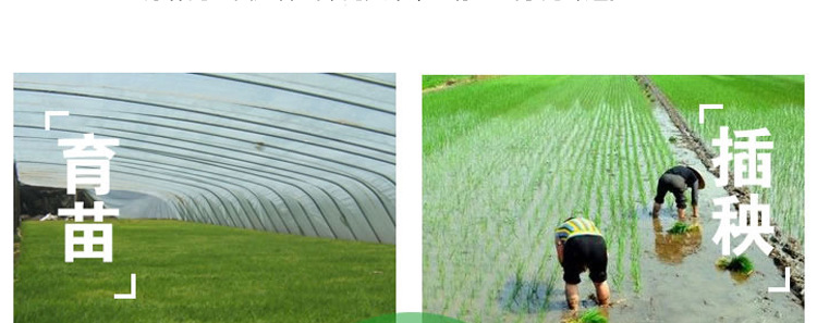 未標(biāo)題-1_007