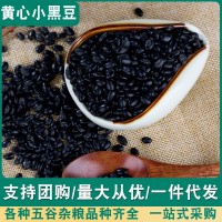 黃芯腎形小黑豆農家自產 打豆?jié){黃心黑豆500g裝
