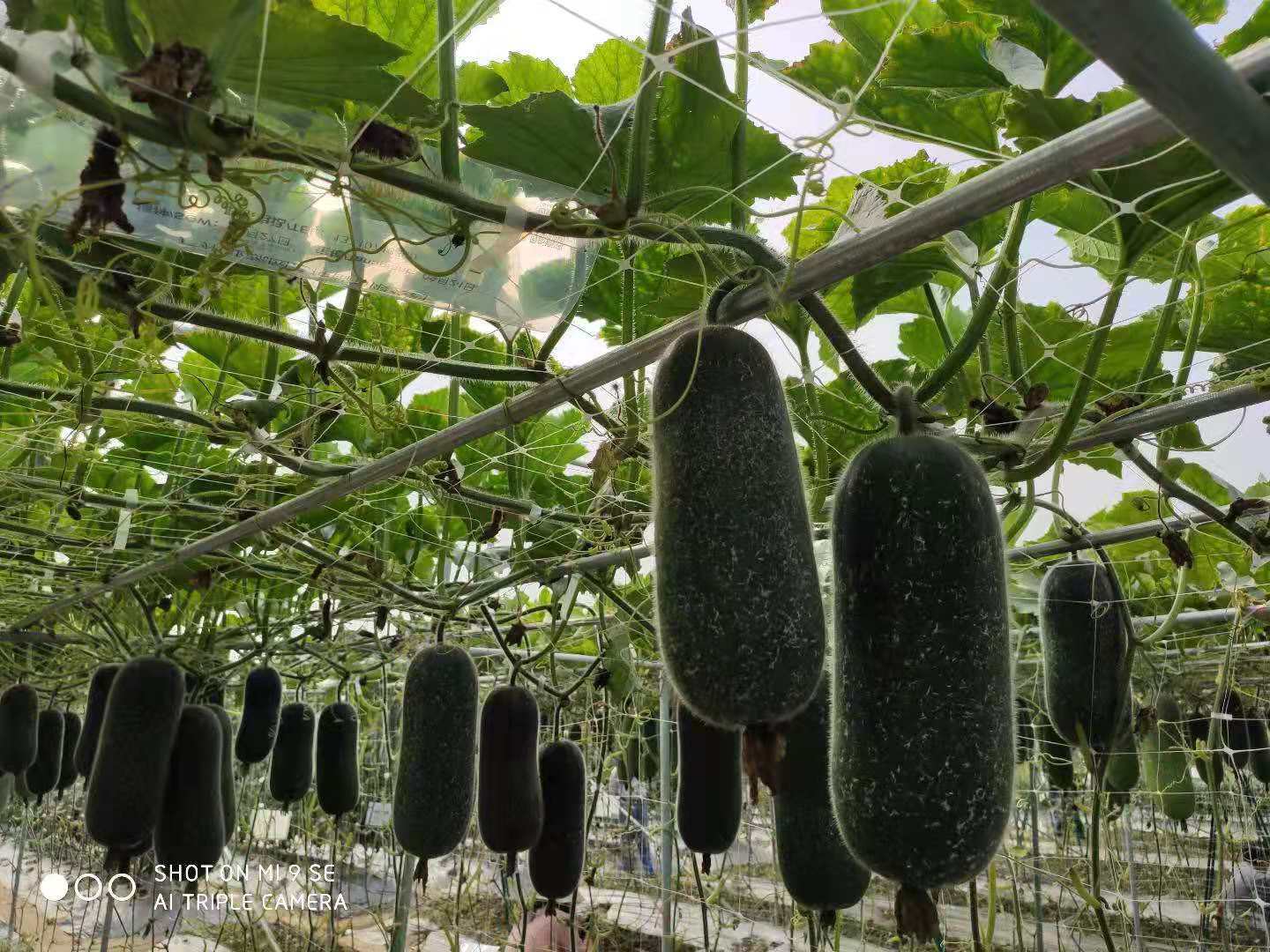 微信圖片_20210611203909