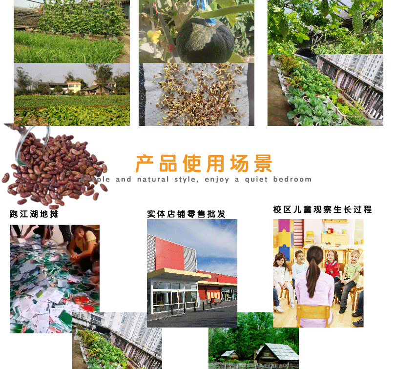 默認(rèn)文件1623362382597_06