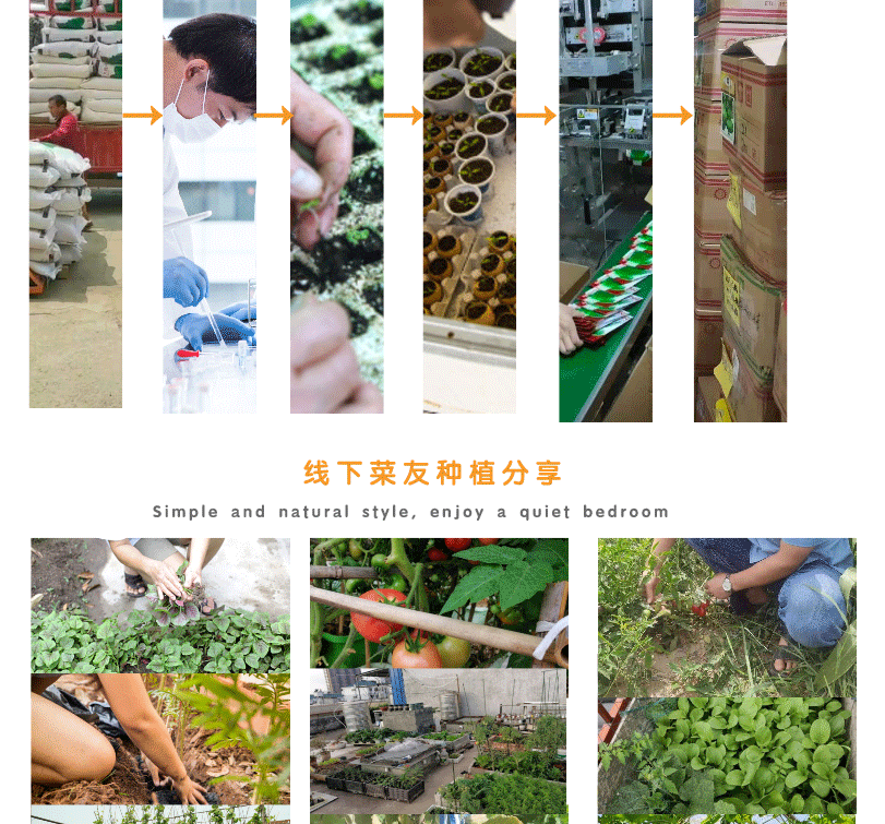 默認(rèn)文件1623362382597_05