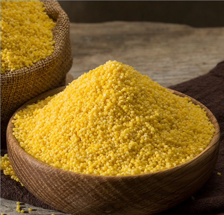 微信圖片_20200926122105