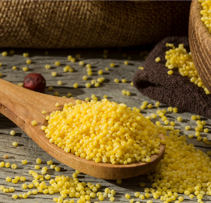 微信圖片_20200926122121