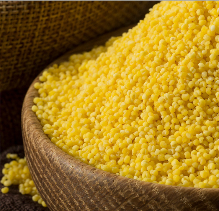 微信圖片_20200926122125