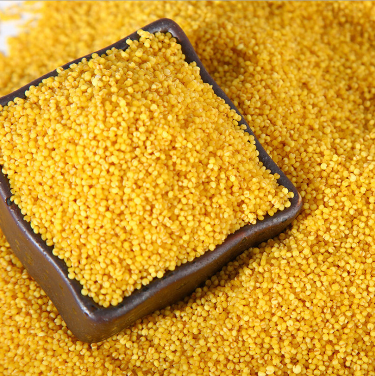 微信圖片_20200926142430