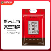 中褚當(dāng)季東北長粒香鮮 大米5kg現(xiàn)磨打包真空米磚廠家發(fā)貨一代件發(fā)