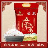 中褚五常大米二號大米5kg獨立小包米10斤鮮米黑龍江稻香東北米