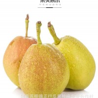 春節(jié)不休！新疆庫爾勒香梨一級(jí)梨子當(dāng)季水果新鮮包郵整箱