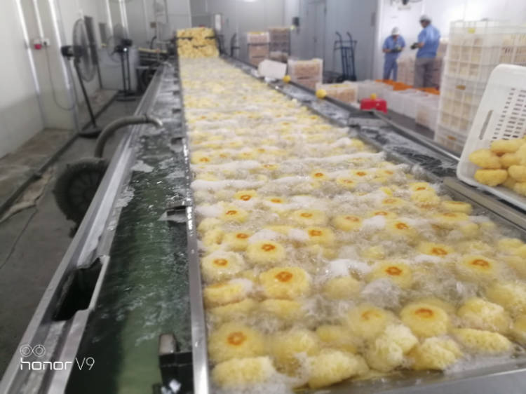 微信圖片_20180530171856