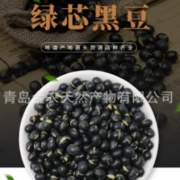 廠家直供黑皮綠仁烘炒黑豆-量大質優(yōu)，出口品質