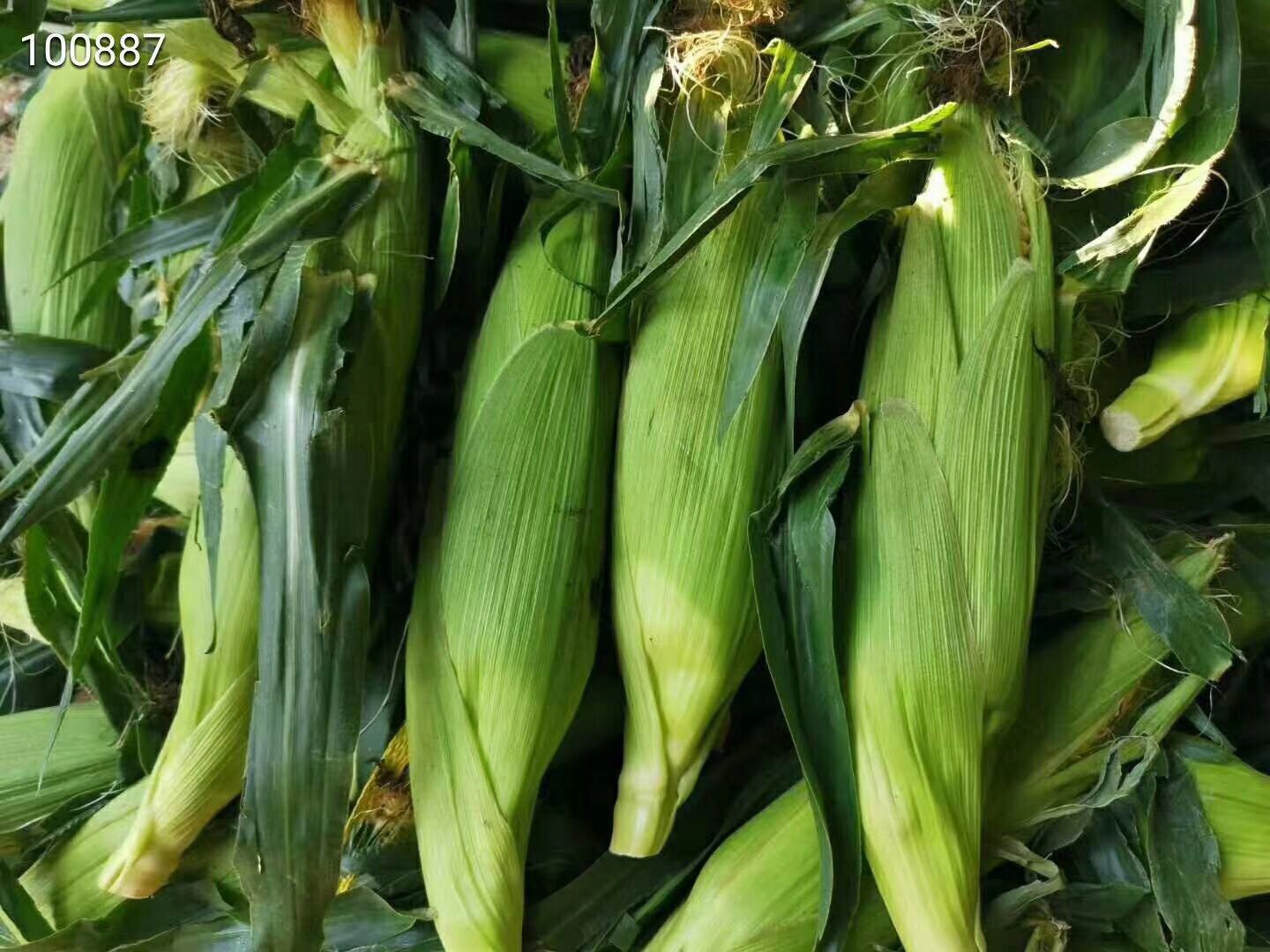 微信圖片_20190906164734