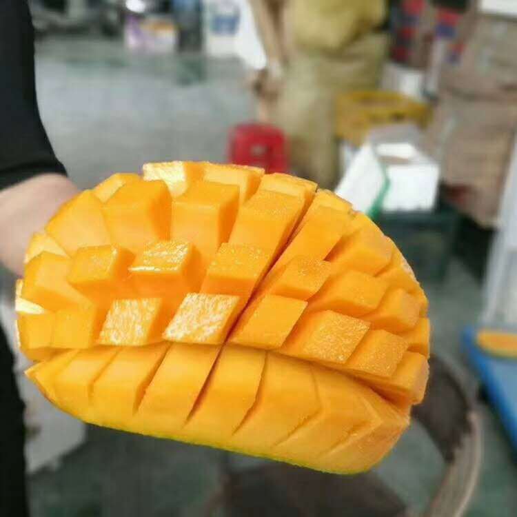 微信圖片_20181022163846