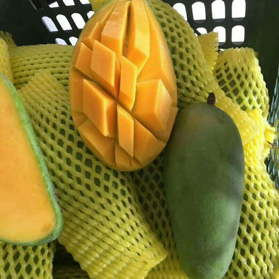 微信圖片_20181022163843